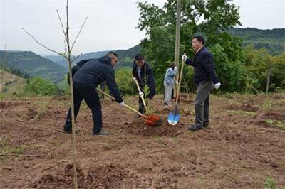 赵金洲、巫晓兵在植树