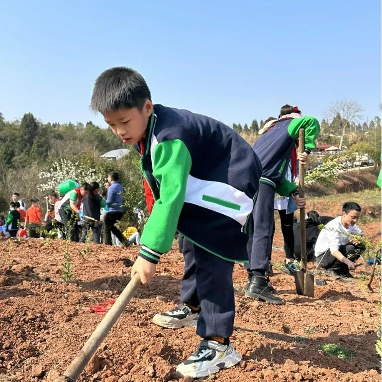 说明: 图片